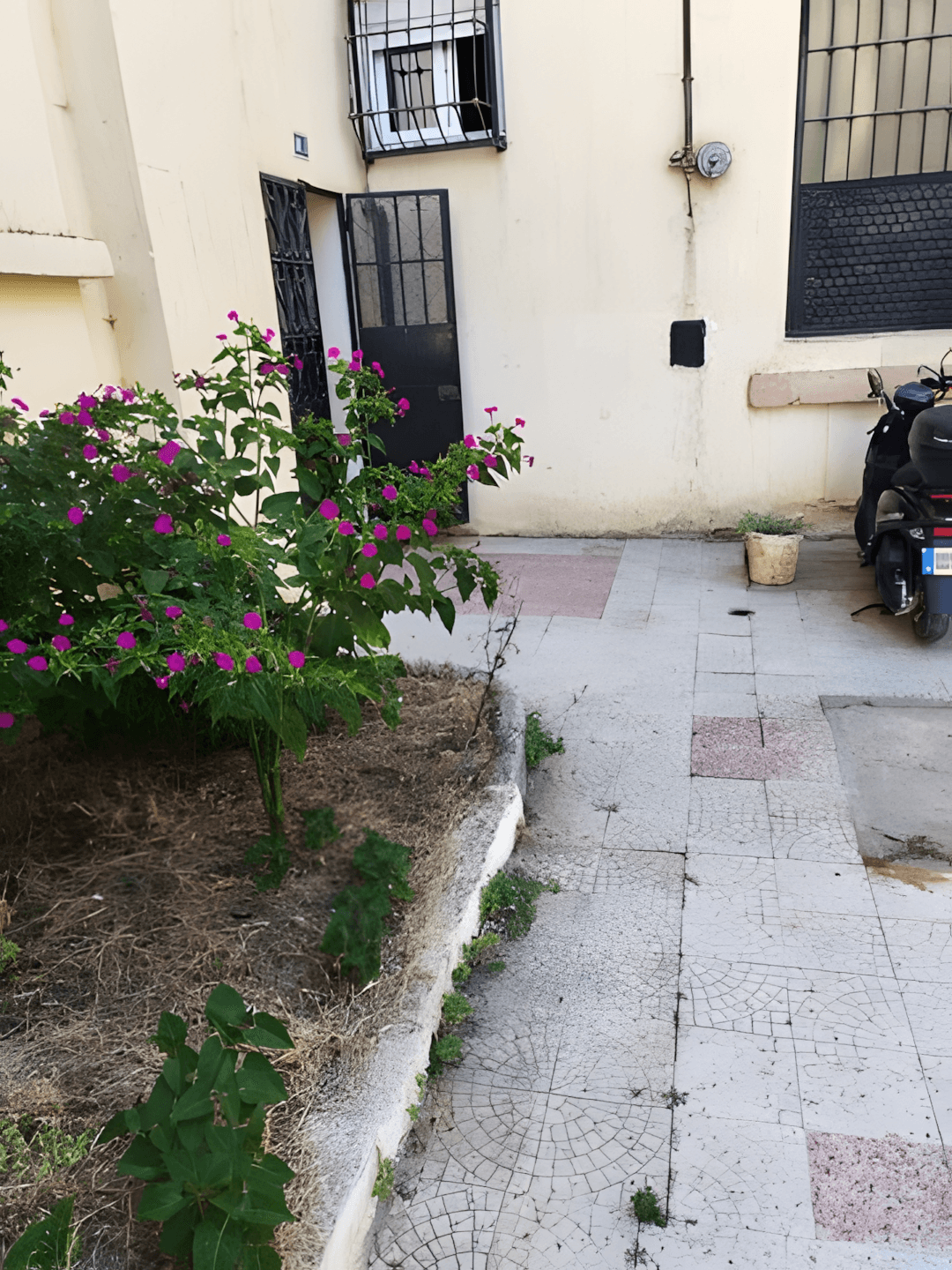 Vente Appartement F3 Boumerdès Boudouaou-1