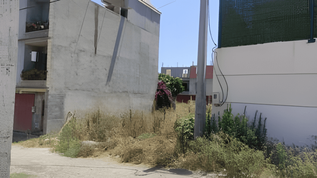 Vente Terrain Boumerdès Ouled Moussa - Photo 2