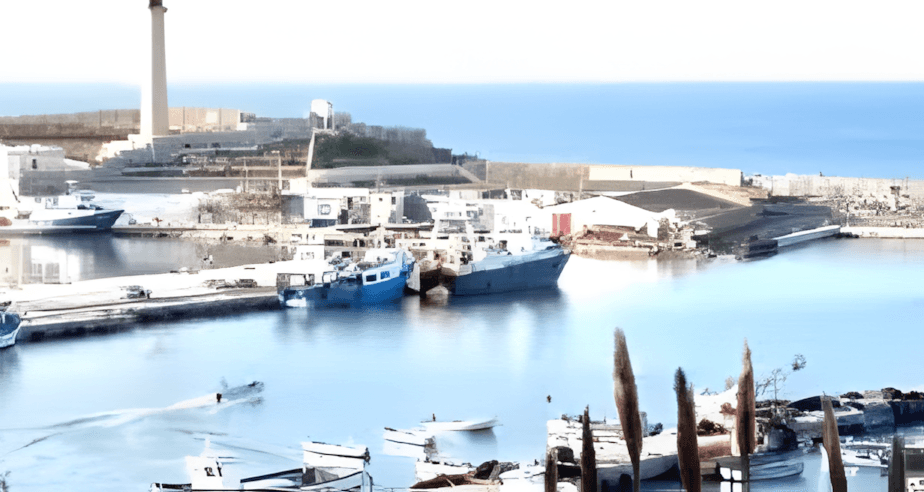 Vente Terrain Boumerdès Djinet-1