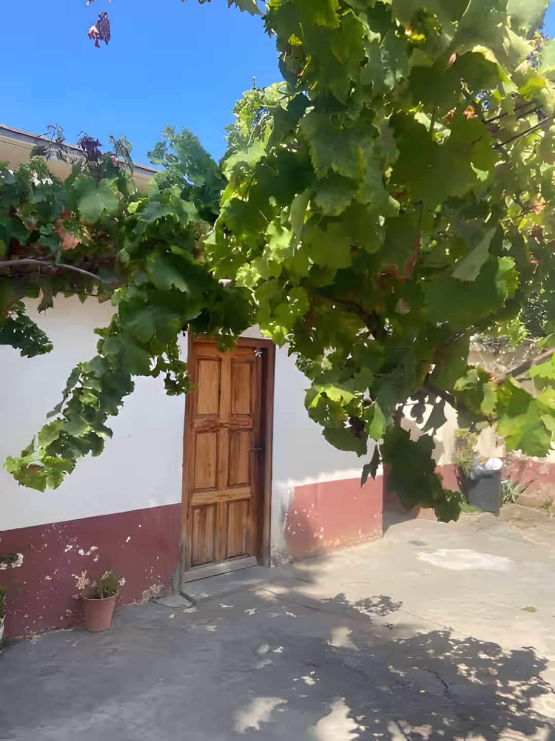 Vente Villa Alger Ain Taya-1