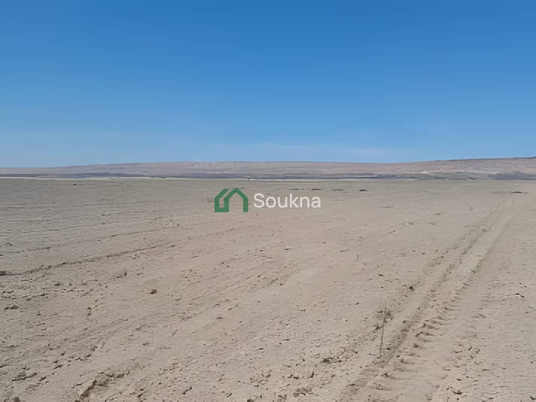 Vente Terrain Agricole Relizane El Matmar - Photo 2