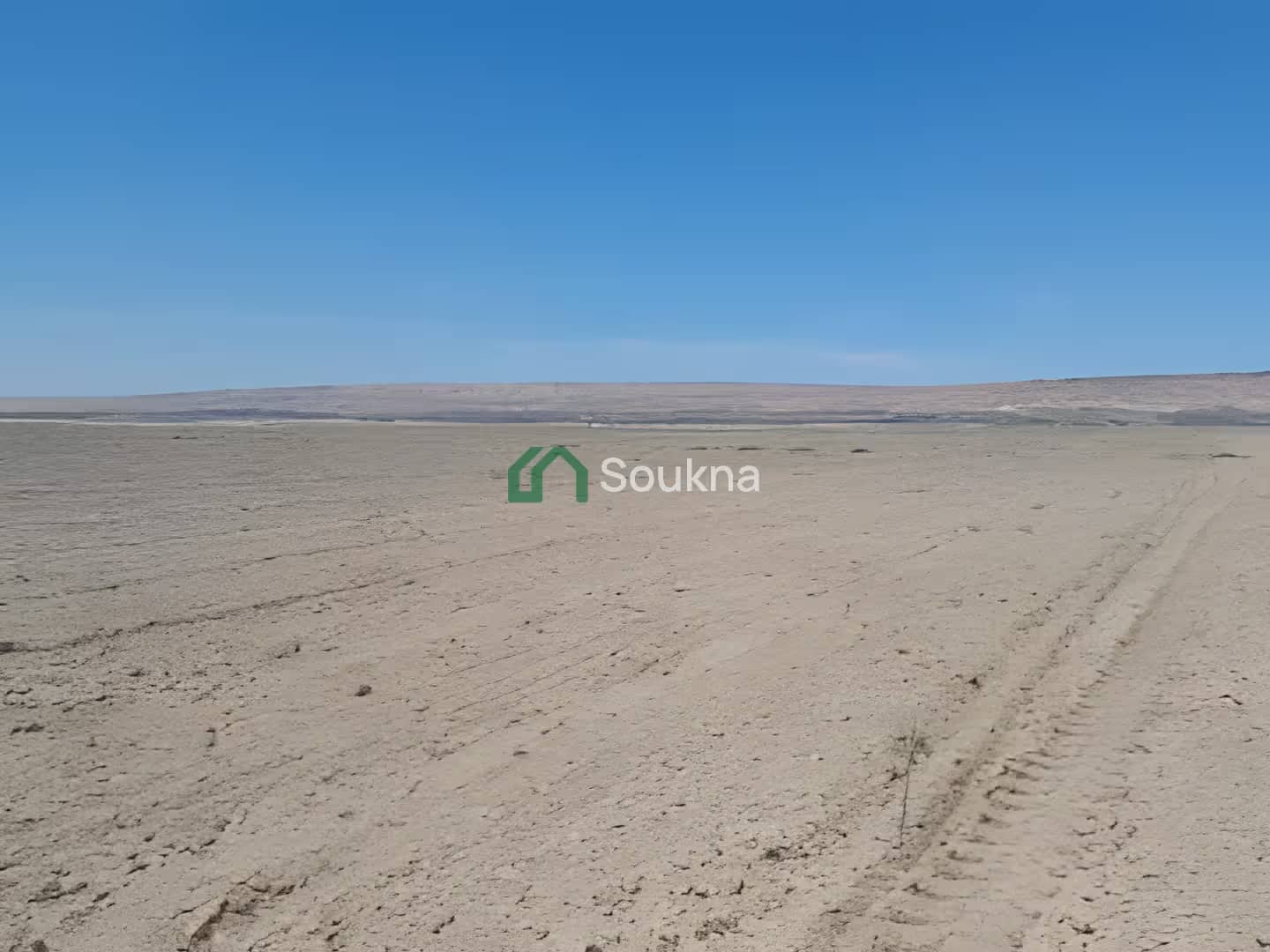 Vente Terrain Agricole Relizane El Matmar-1