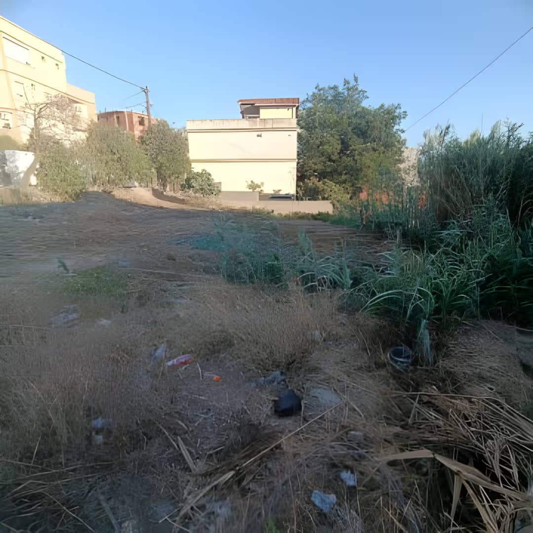 Vente Terrain Alger Douera-1