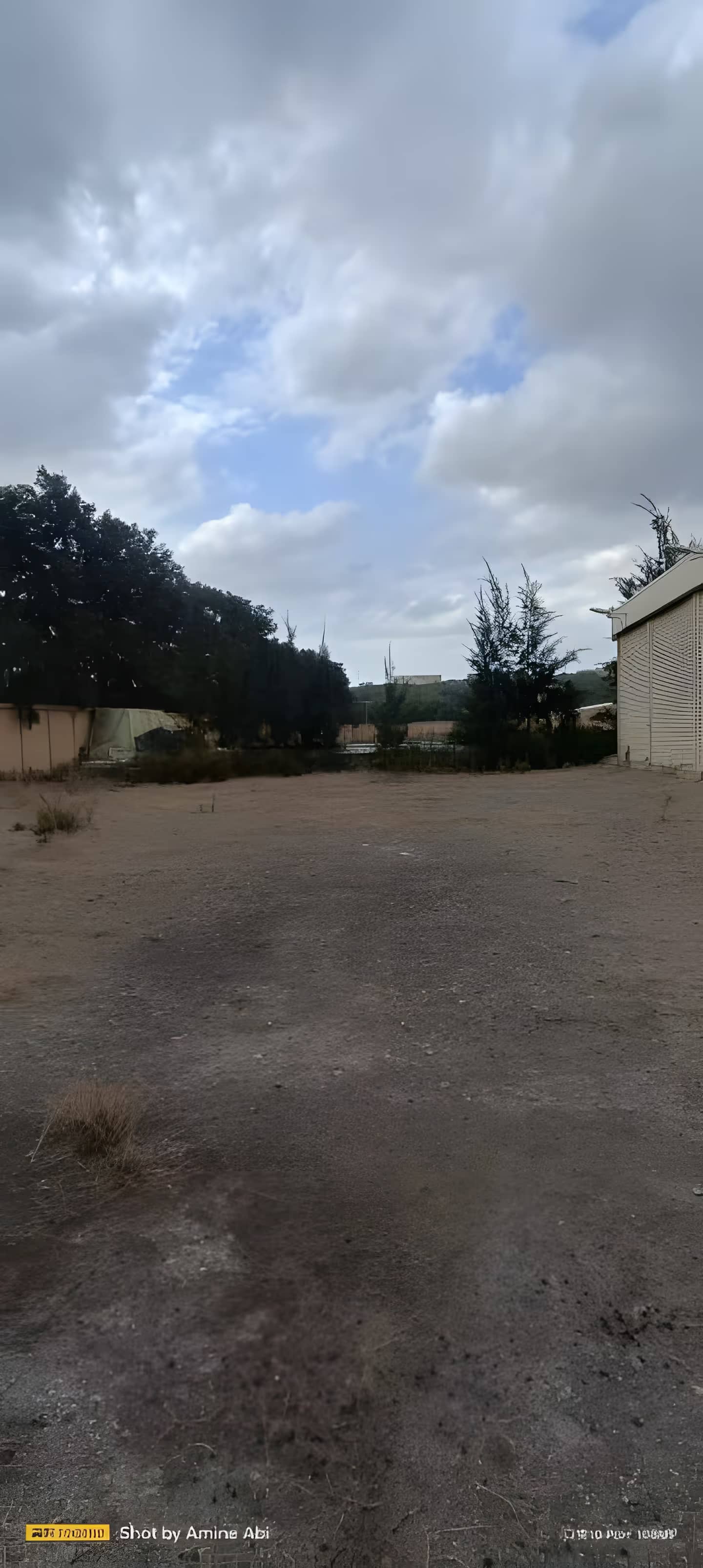 Vente Hangar - Usine Tipaza Kolea-2