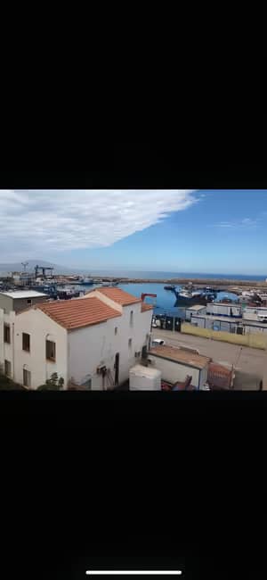 Vente Terrain Tipaza Bou Haroun-2