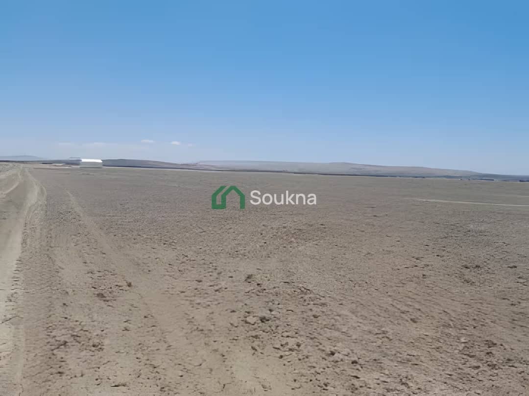 Vente Terrain Agricole Relizane El Matmar - Photo 3