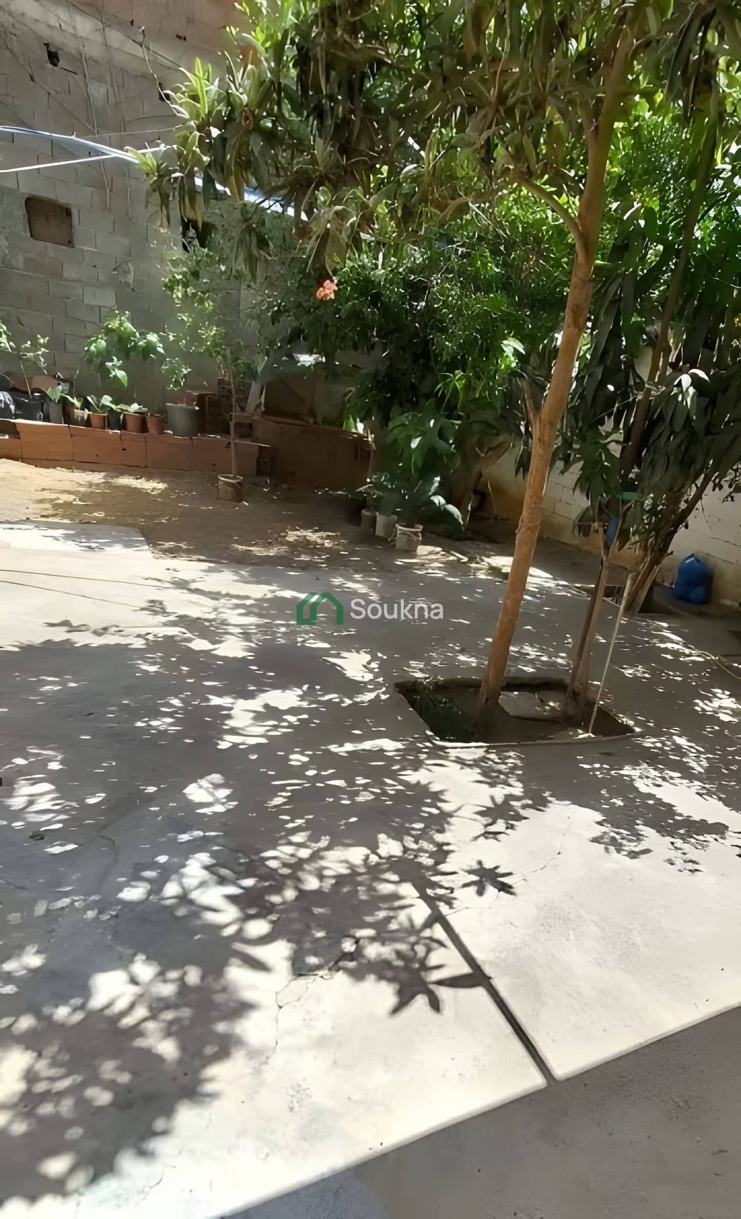 بيع فيلا الجزائر دار البيضاء-2