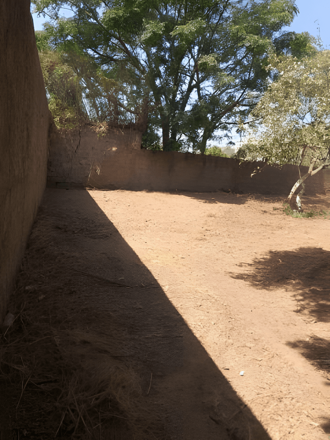 Vente Terrain Alger Hraoua - Photo 3