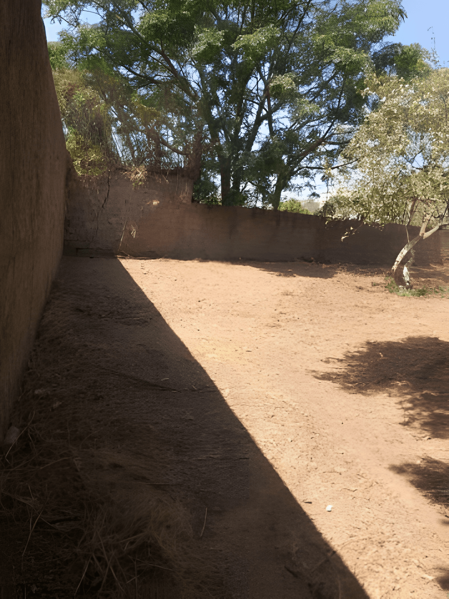 Vente Terrain Alger Hraoua-2