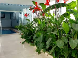 Location Appartement F2 Oran Ain El Turck-2