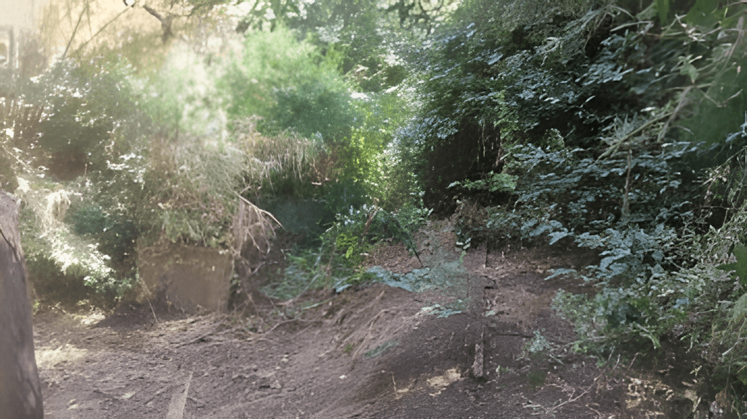 Vente Terrain Boumerdès Thenia - Photo 4