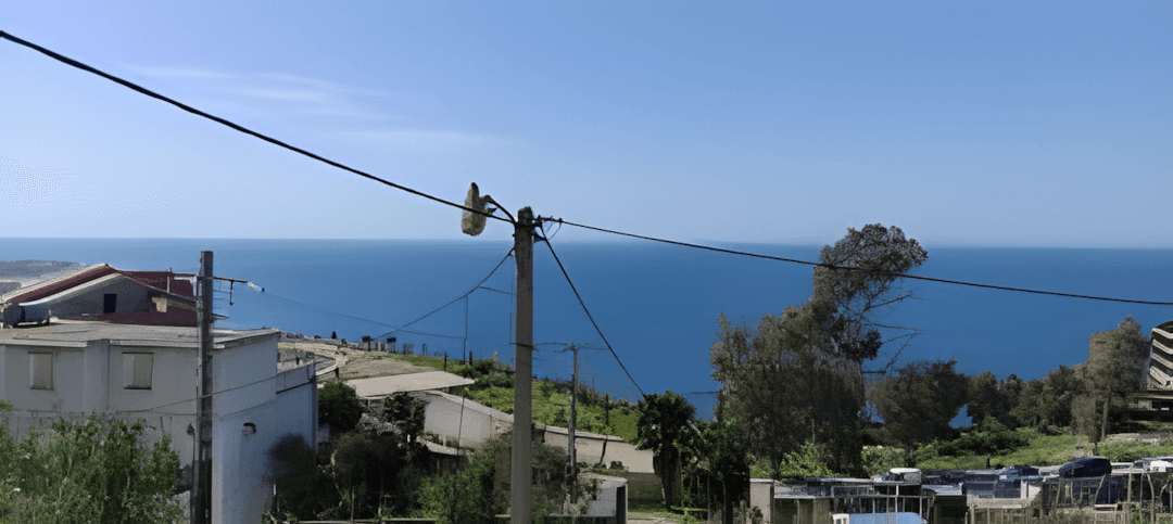 Vente Appartement F3 Boumerdès Boumerdes-3