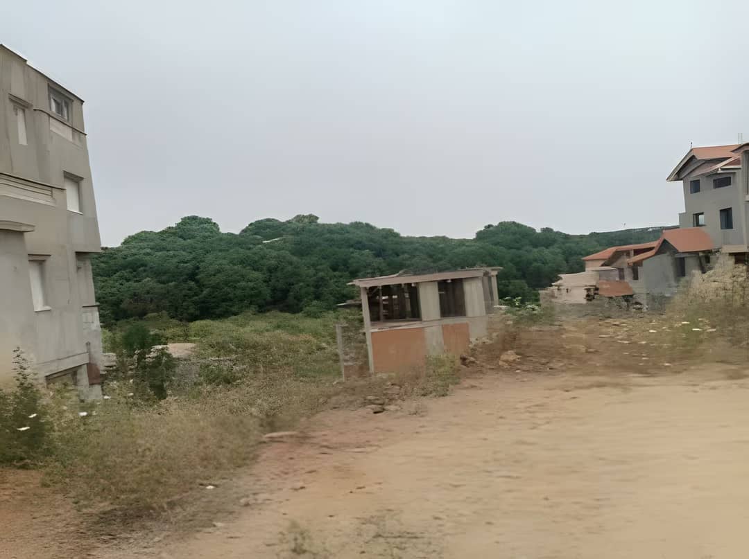 Vente Terrain Alger Khraissia - Photo 4