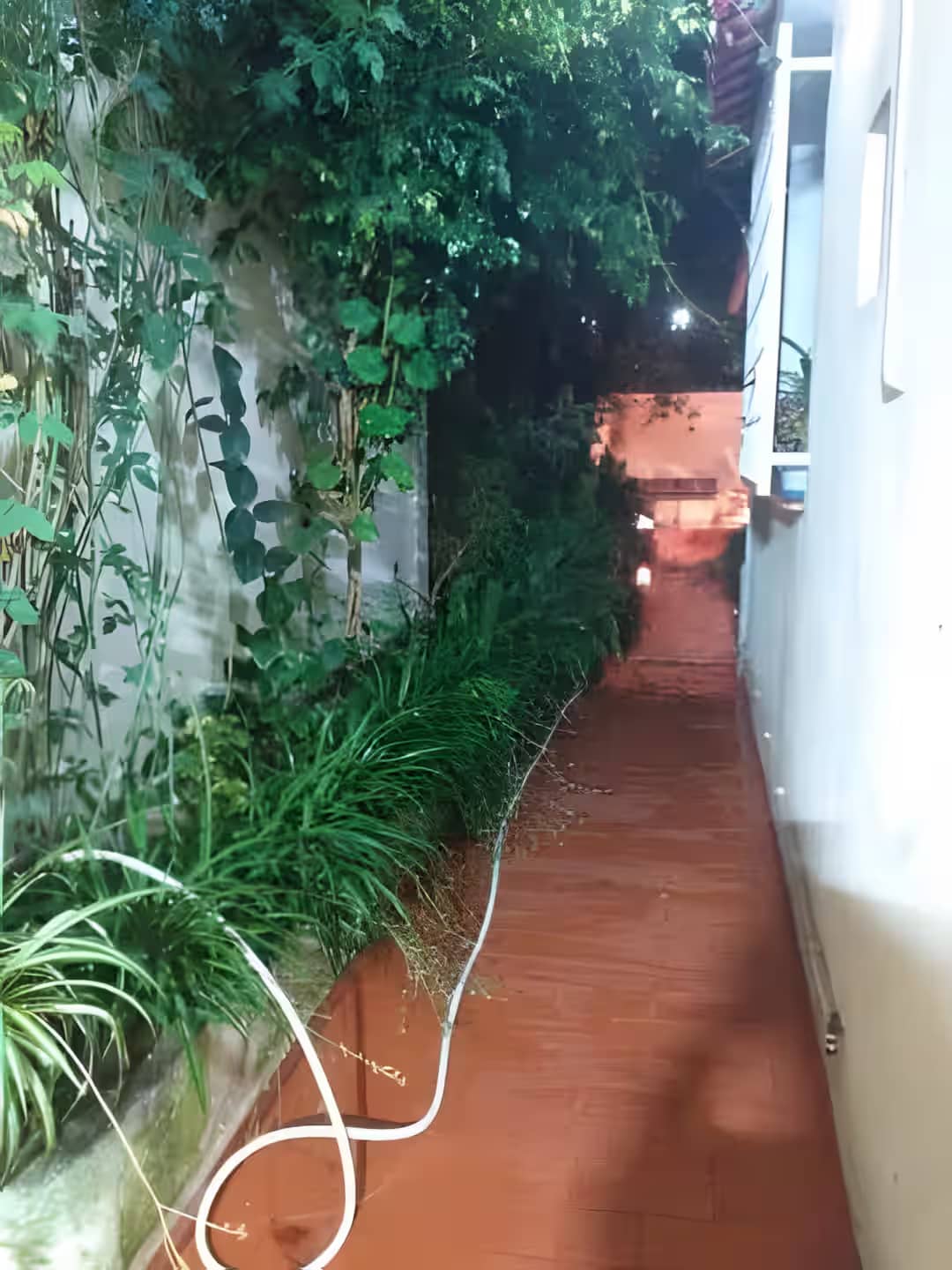 Location Villa Boumerdes Hammedi - Photo 4