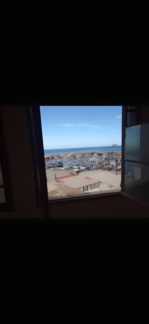 Vente Terrain Tipaza Bou Haroun-3