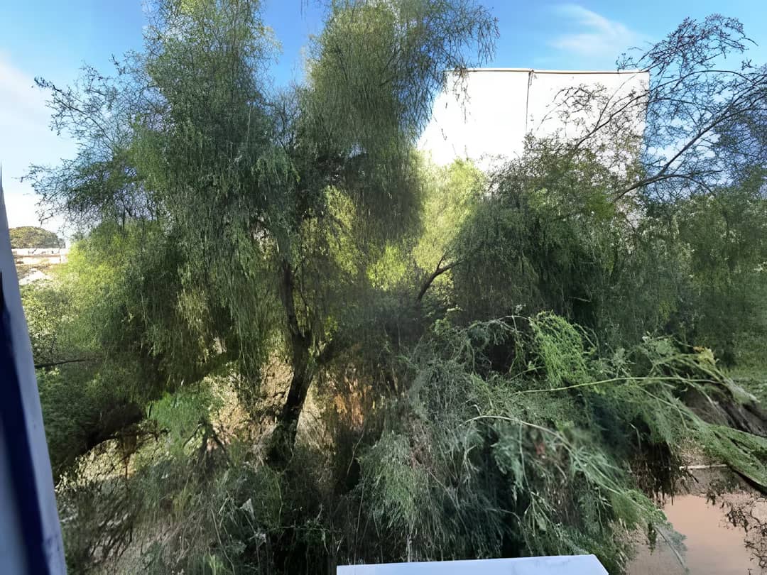 Location Appartement F2 Alger Rouiba - Photo 4