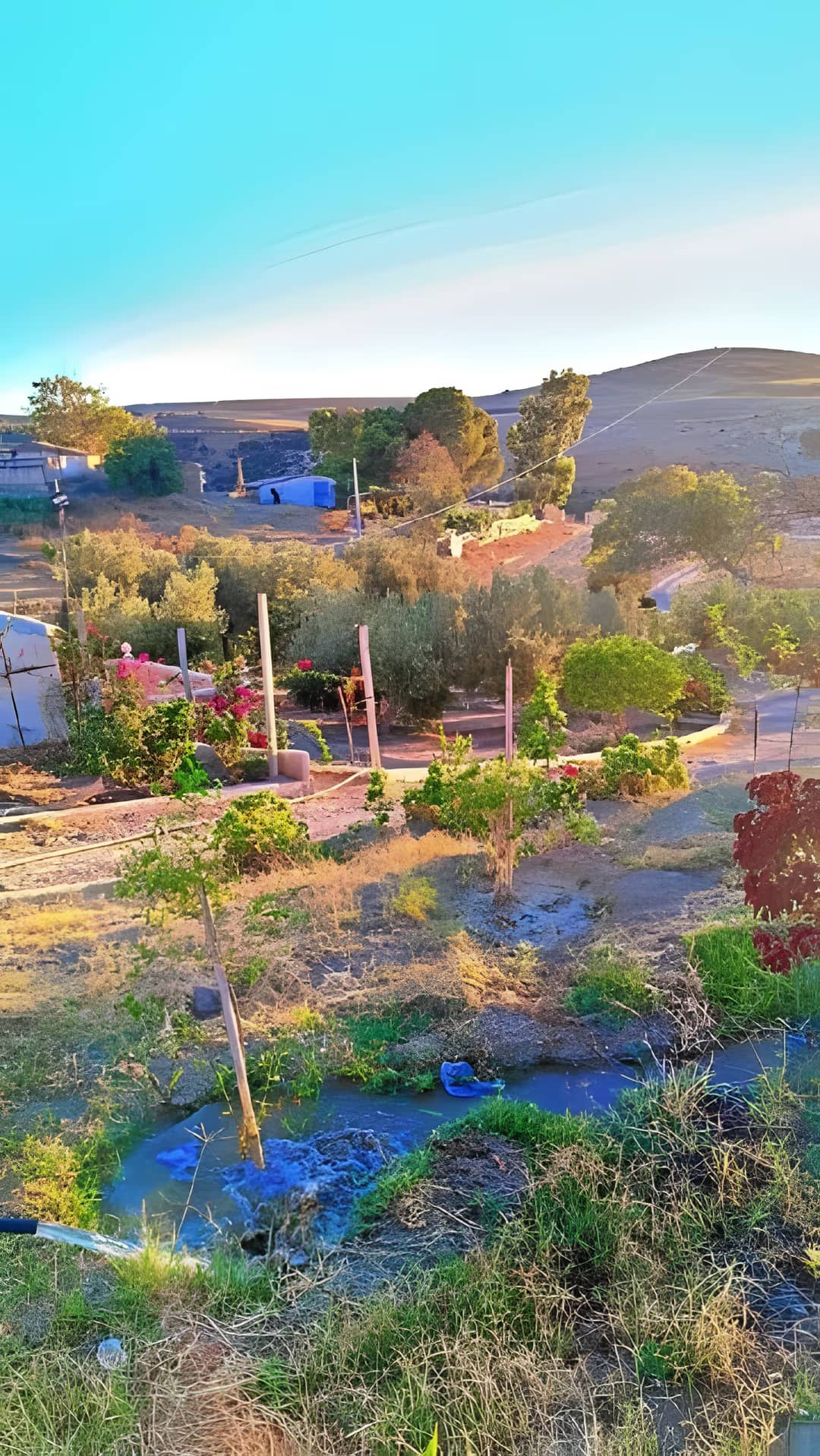 Vente Terrain Agricole Aïn Témouchent Ain Temouchent - Photo 4