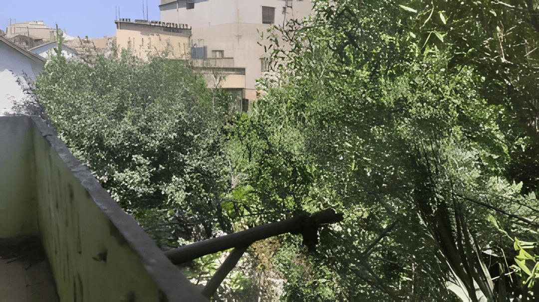 Vente Terrain Boumerdès Thenia - Photo 5