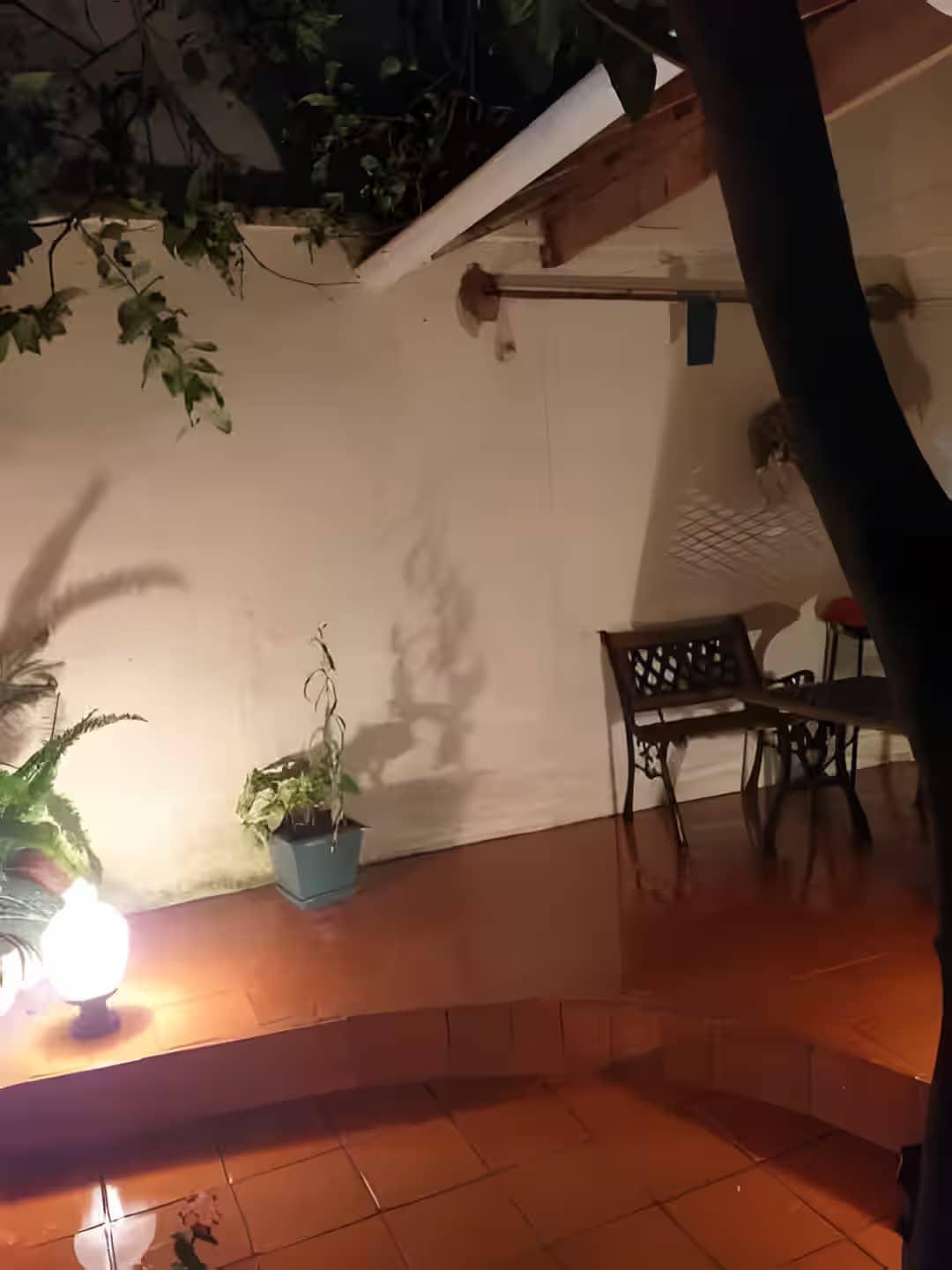 Location Villa Boumerdes Hammedi - Photo 5