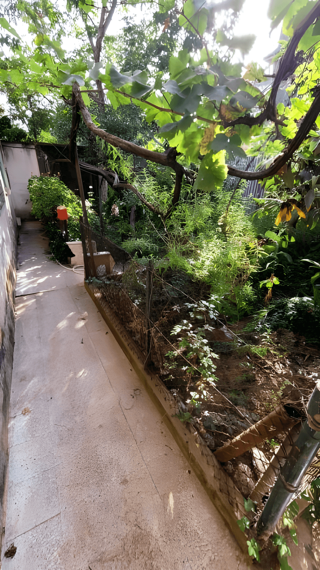 Vente Villa Alger El Biar - Photo 3