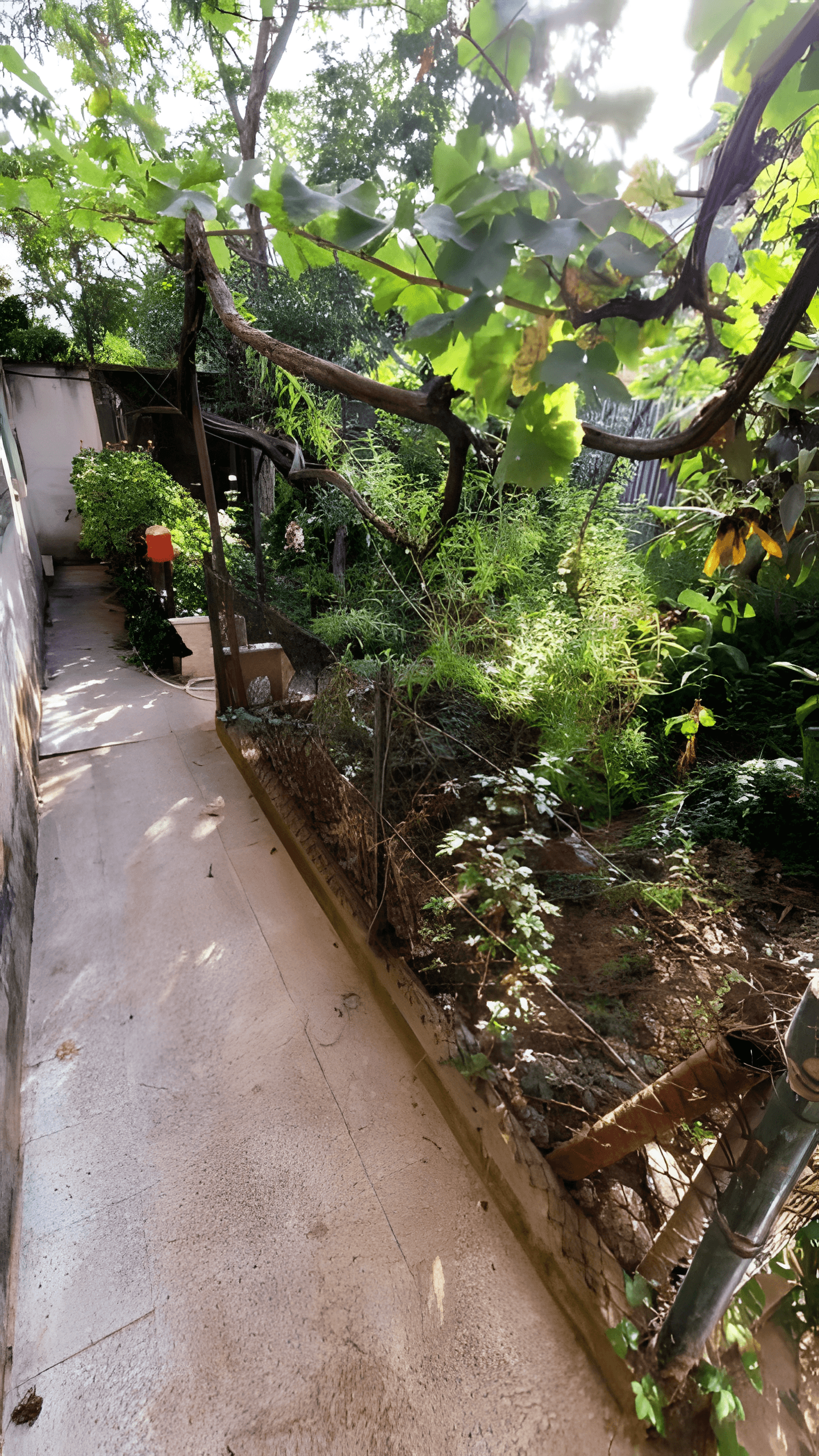 Vente Villa Alger El Biar-2