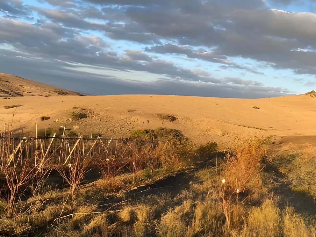 Vente Terrain Agricole Aïn Témouchent Ain Temouchent - Photo 7