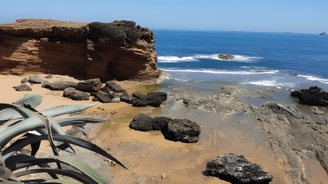 Vente Villa Jijel Jijel-0