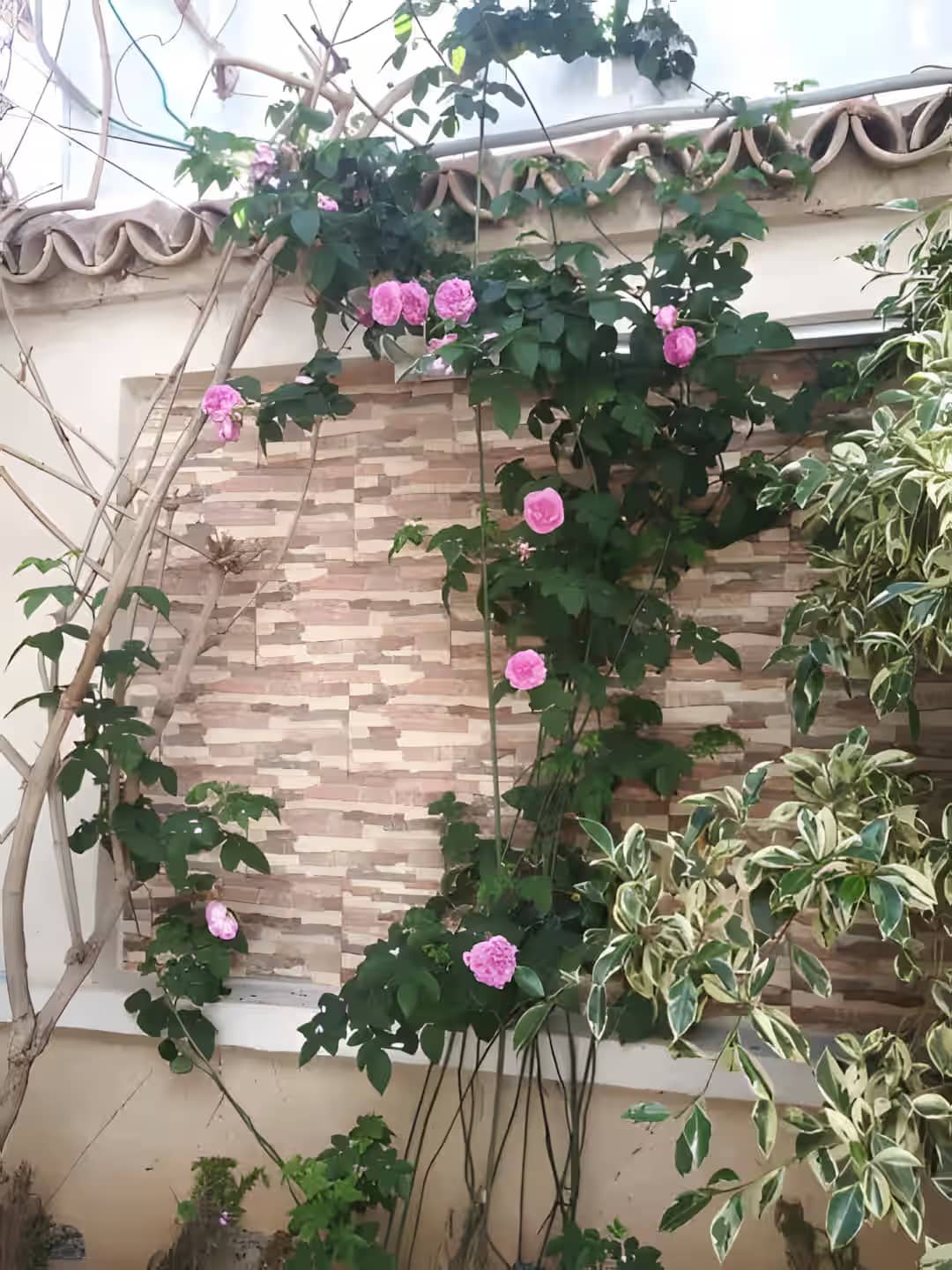Location Villa Boumerdes Hammedi - Photo 8