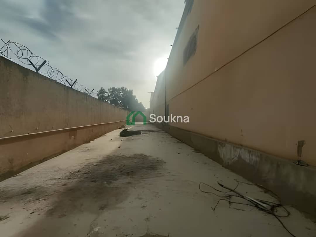 Location Hangar Oran Hassi Bounif - Photo 6