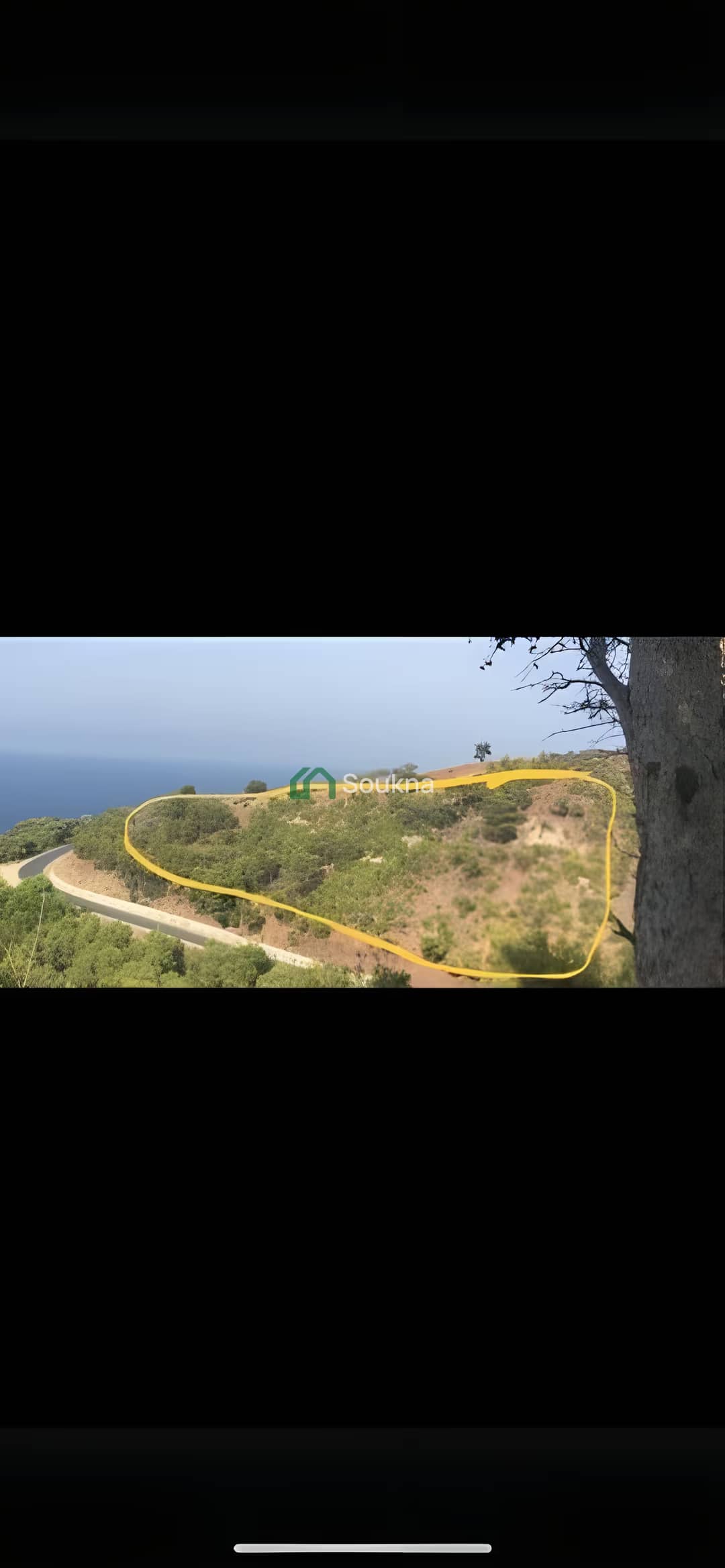 Vente Terrain Chlef Chlef - Photo 8