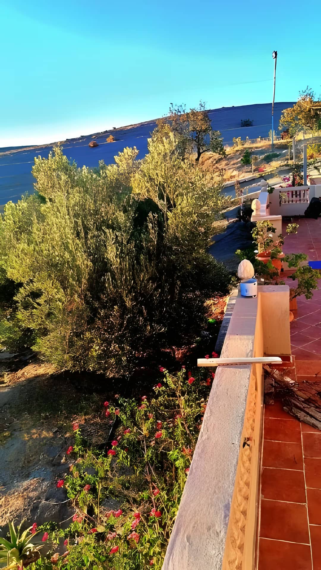 Vente Terrain Agricole Aïn Témouchent Ain Temouchent - Photo 9