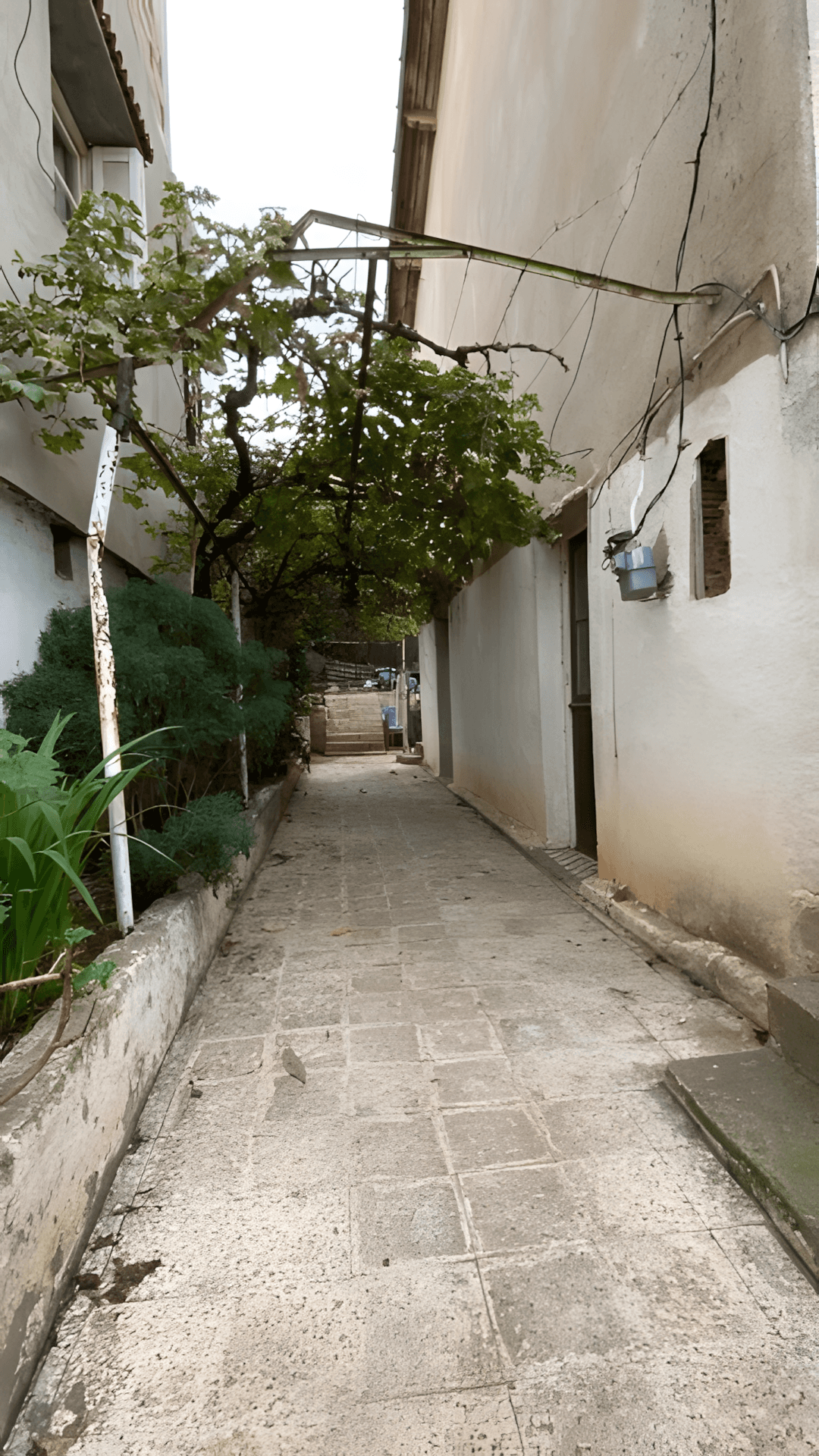 Vente Villa Boumerdès Thenia - Photo 1