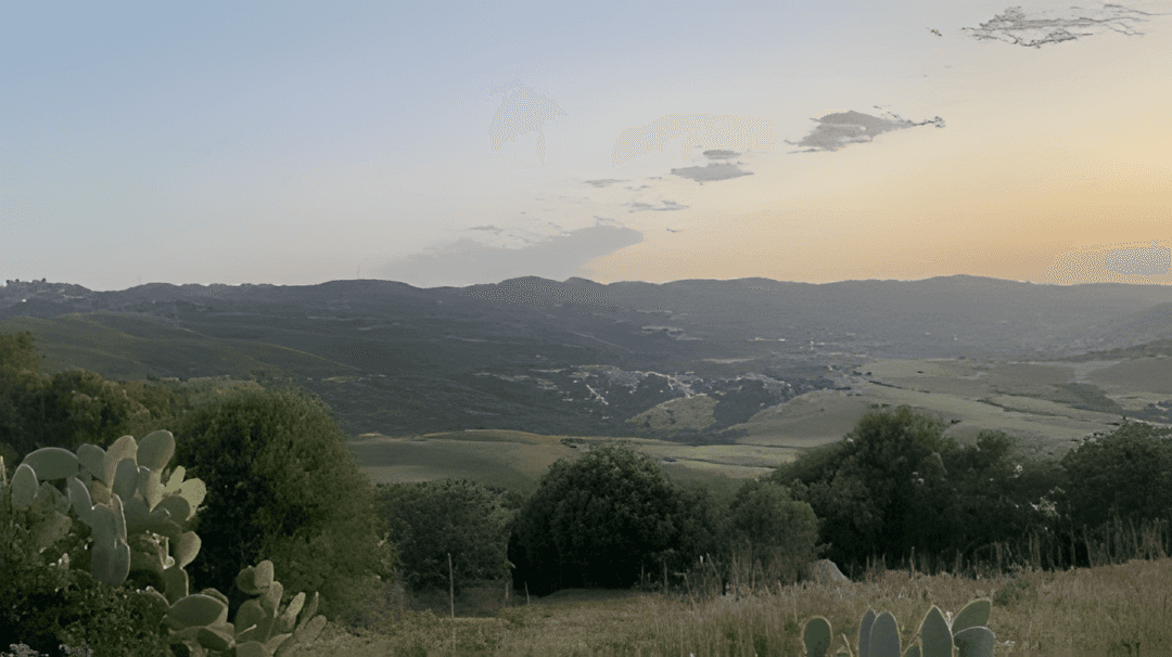 Vente Terrain Boumerdès Zemmouri - Photo 1