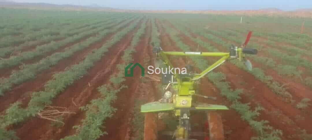 À vendre terrain agricole - Photo 1