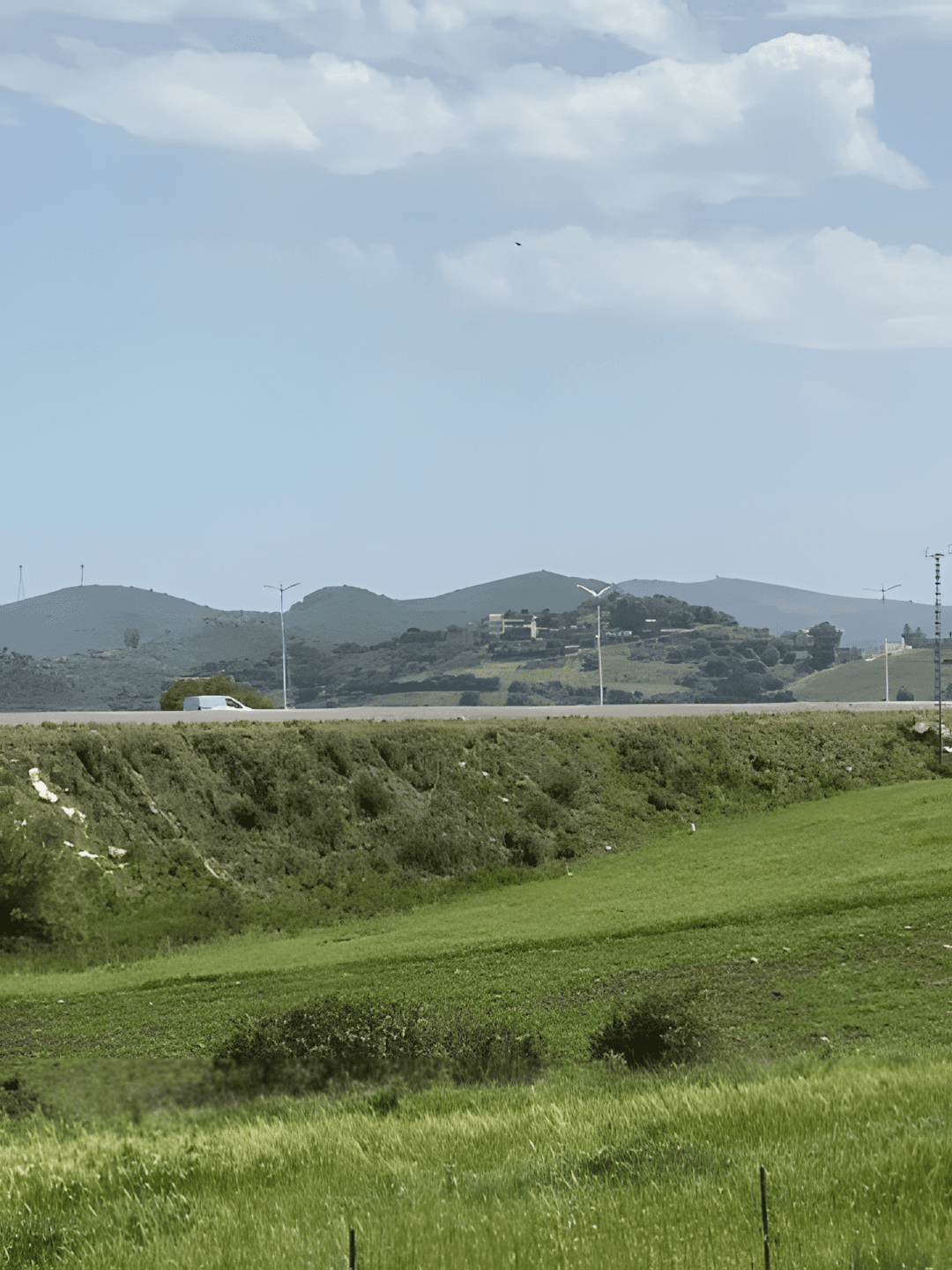 Location Terrain Boumerdès Ouled moussa - Photo 1