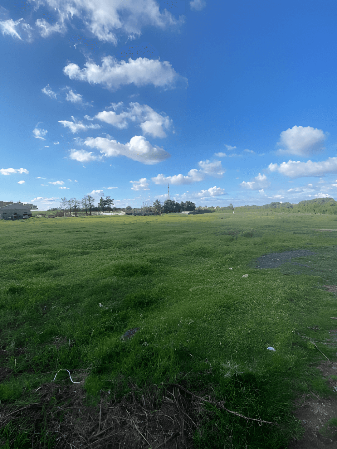 Location Terrain Boumerdès Boumerdes - Photo 1