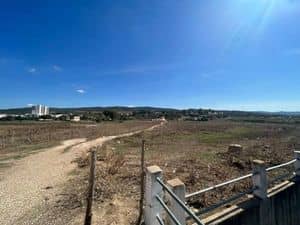 À vendre : Terrain de 289 m² – Centre-ville d’El Tarf-0