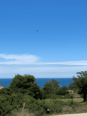 Vente Terrain Boumerdès Zemmouri-0