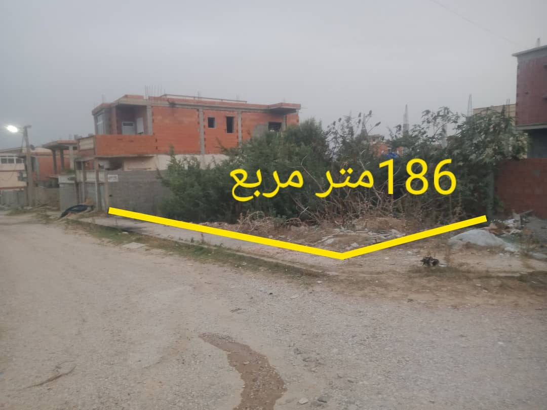 Terrain à vendre à El Kala – Usage résidentiel ou commercial - Photo 1