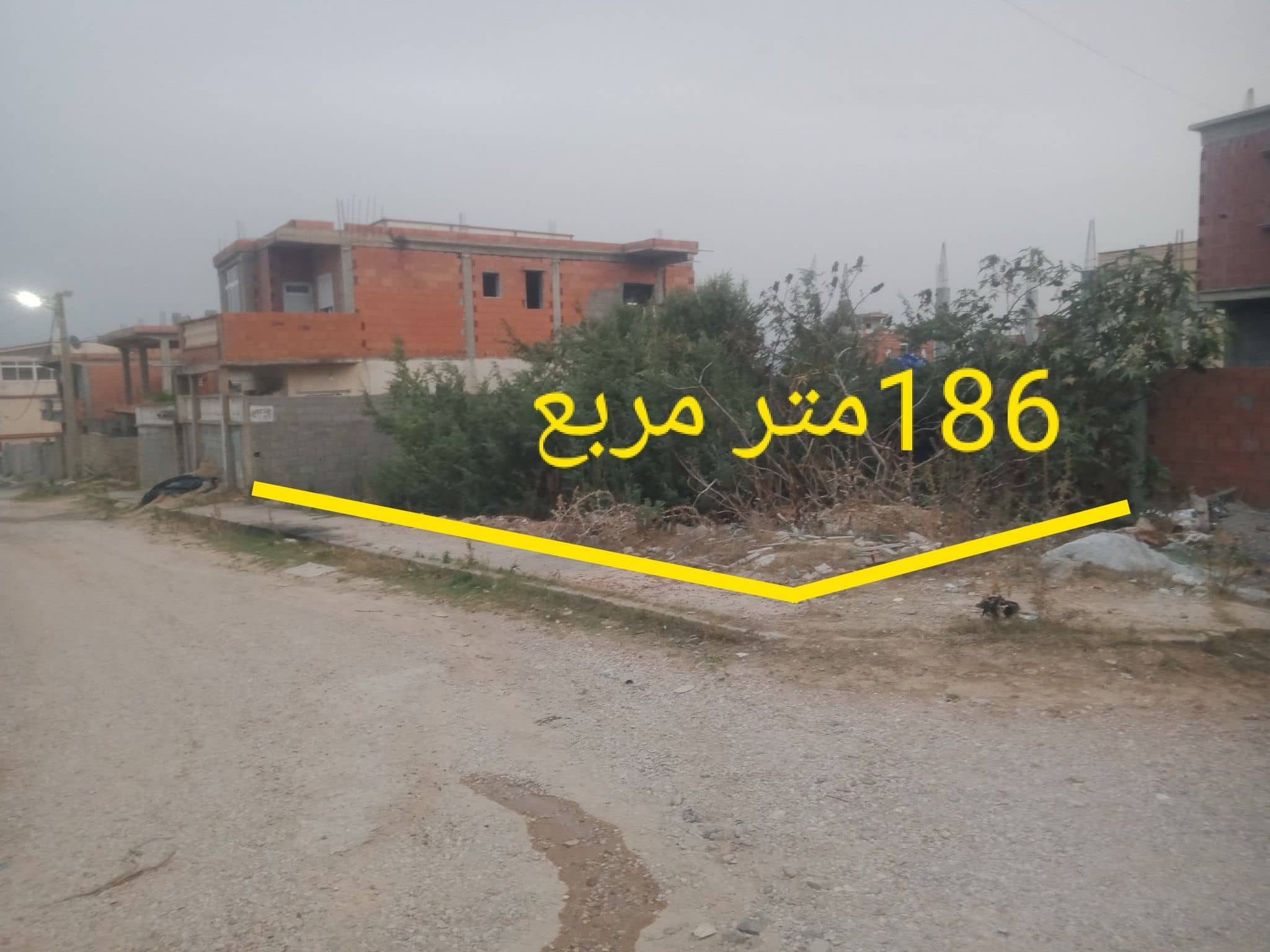 Terrain à vendre à El Kala – Usage résidentiel ou commercial-0