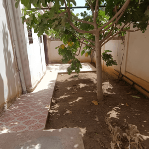 Vente Villa Boumerdès Corso-7