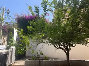 Vente Alger Ouled Fayet-9