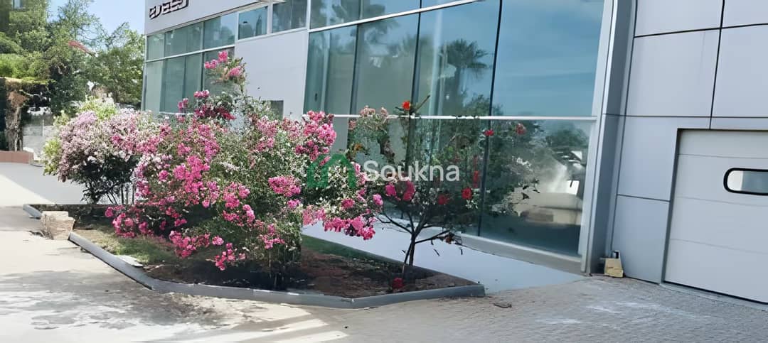 Location Hangar Oran Es Senia - Photo 10