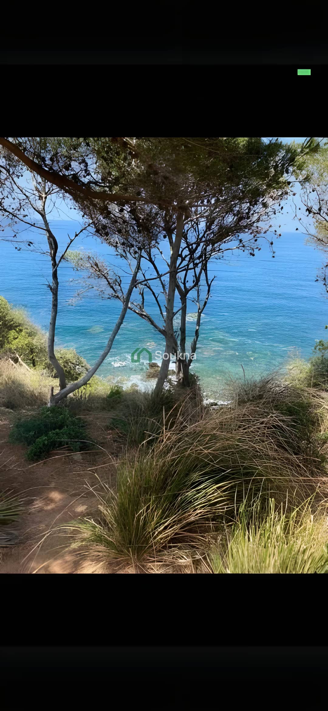 Vente Terrain Chlef Chlef - Photo 10