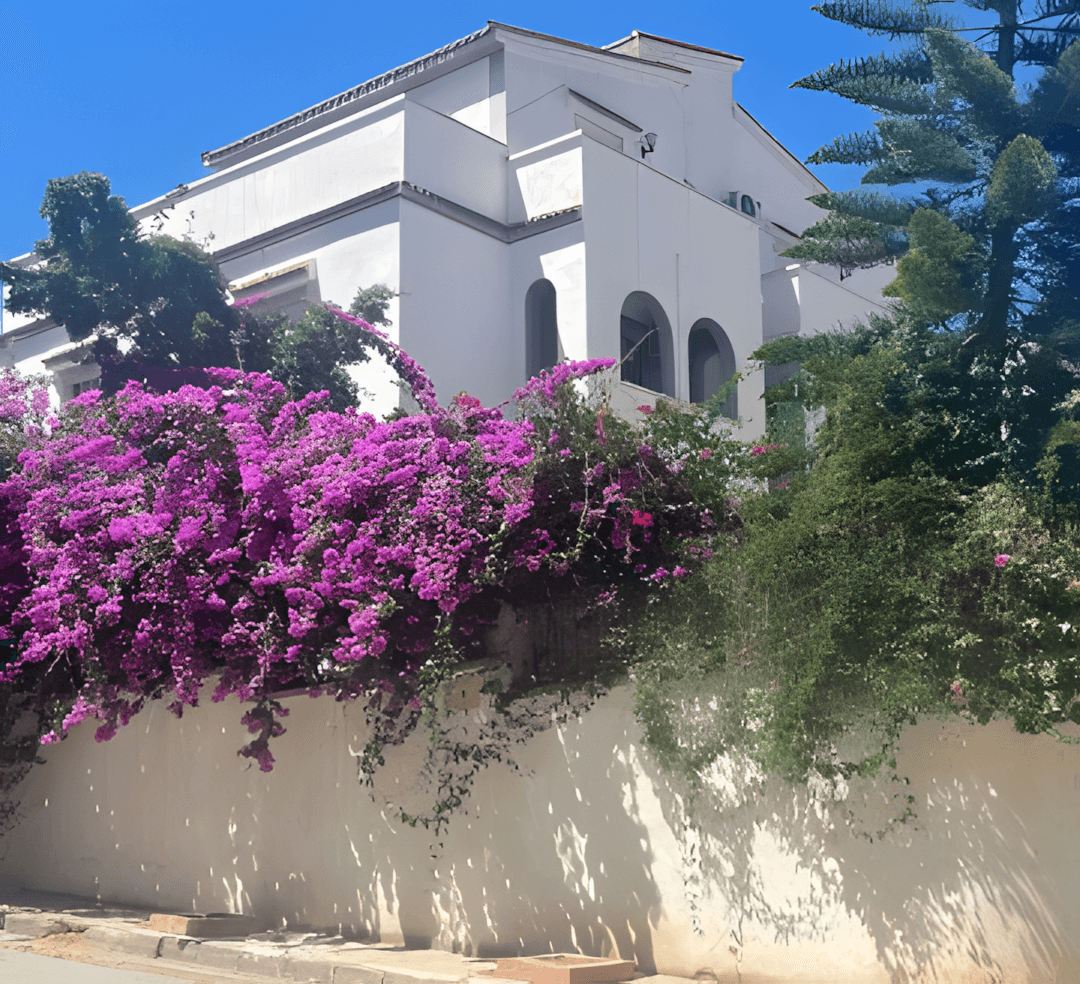 Vente Villa Tipaza Cherchell-10