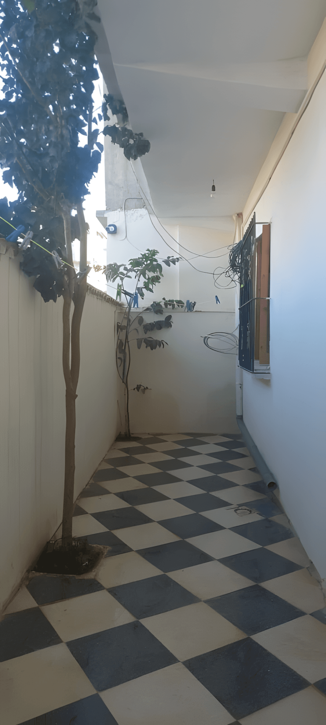 Vente Villa Tipaza Cherchell-10