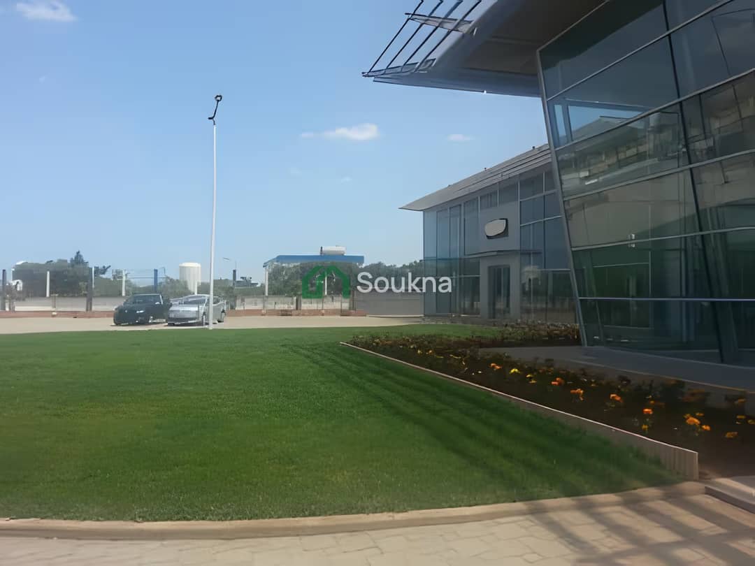 Location Hangar Oran Es Senia - Photo 12