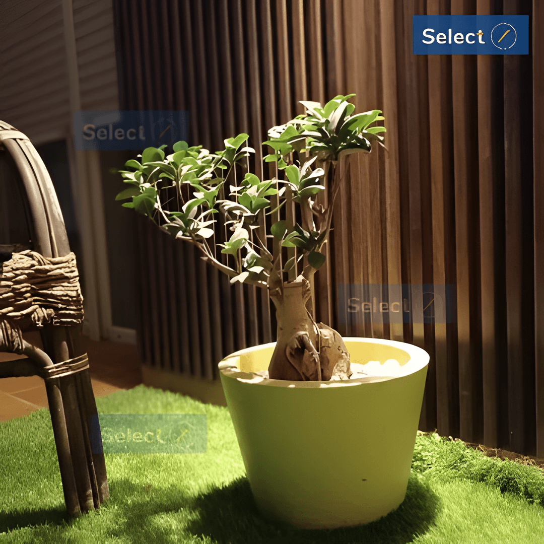 Location Appartement F4 Oran Oran - Photo 15