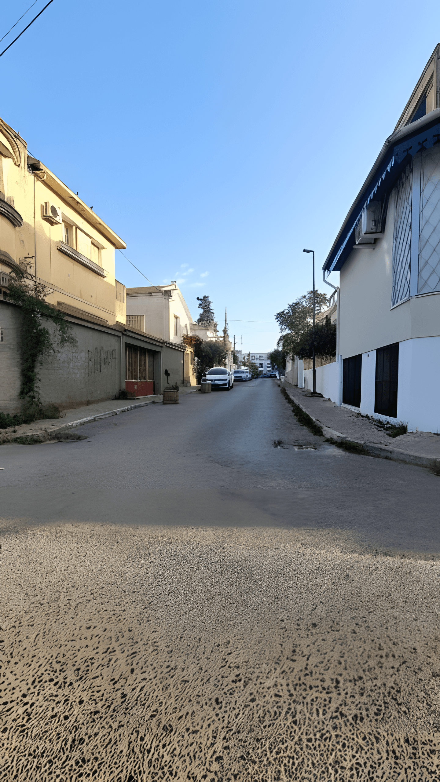 Vente Villa Alger El Biar-4