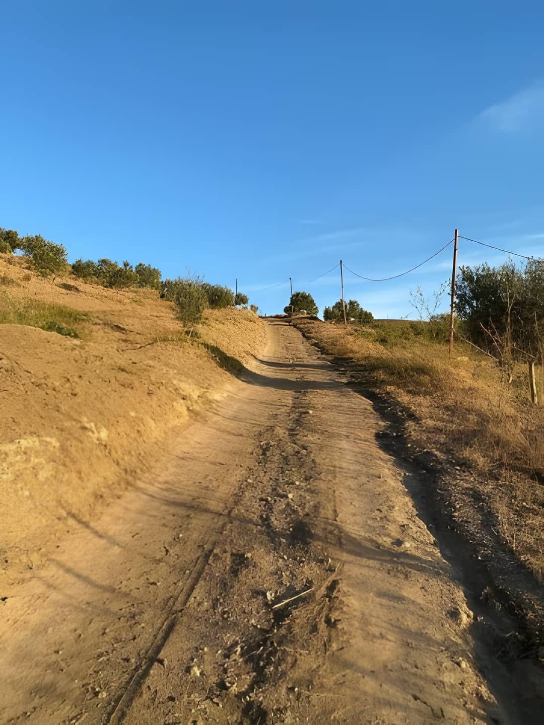 Vente Terrain Agricole Aïn Témouchent Ain Temouchent - Photo 16